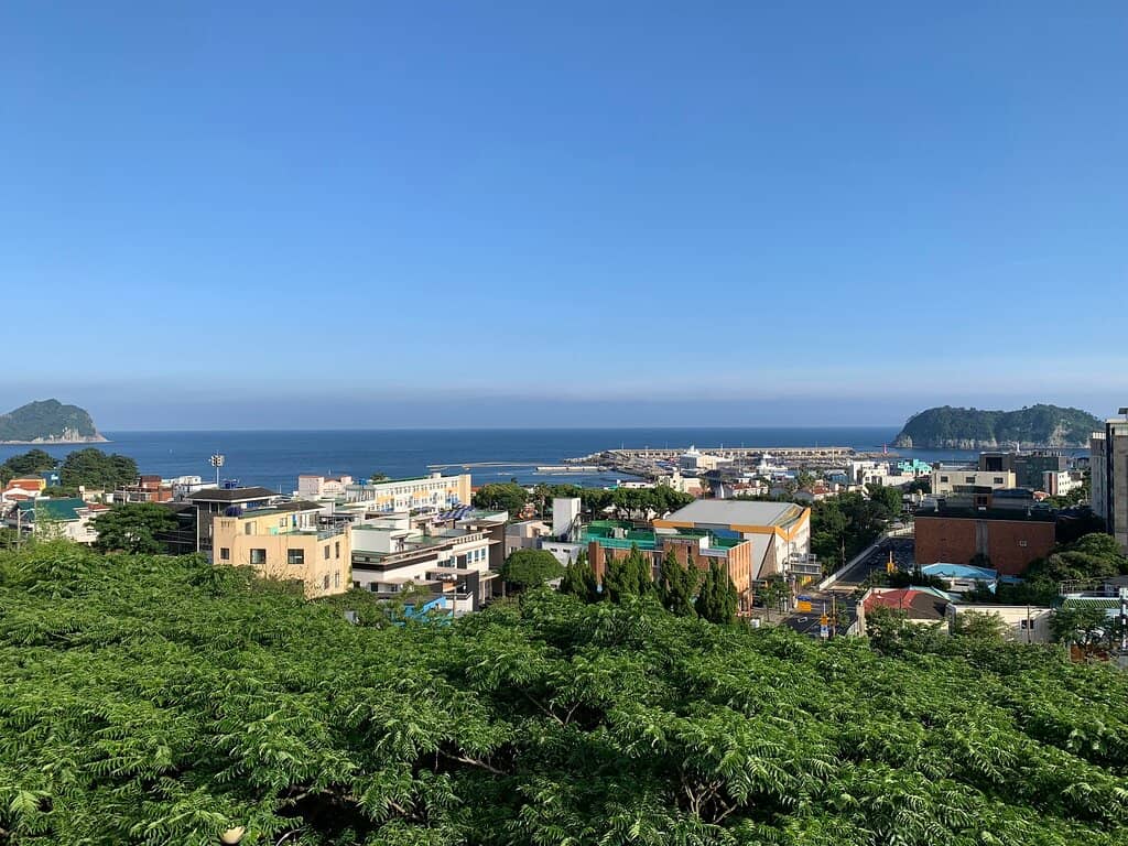 Vibrant Art Collection