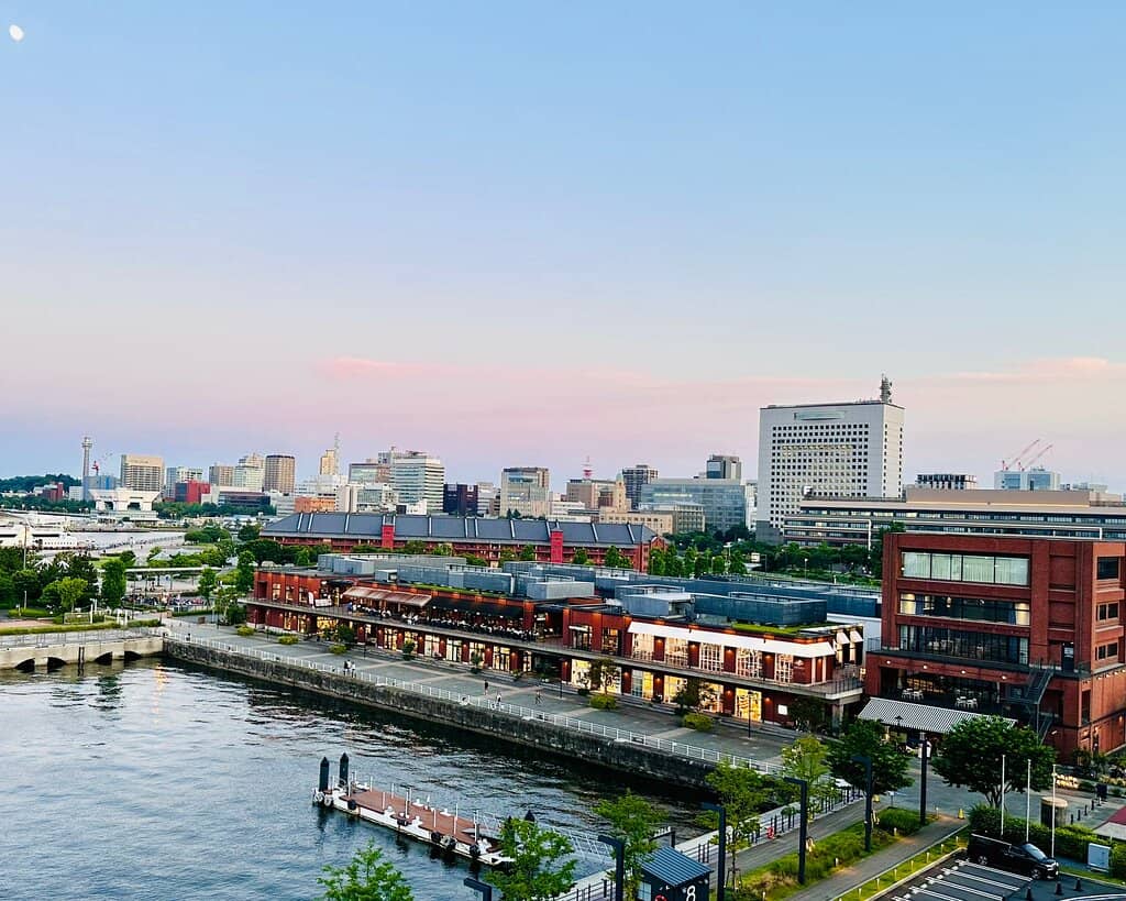 Dog-Friendly Boutiques