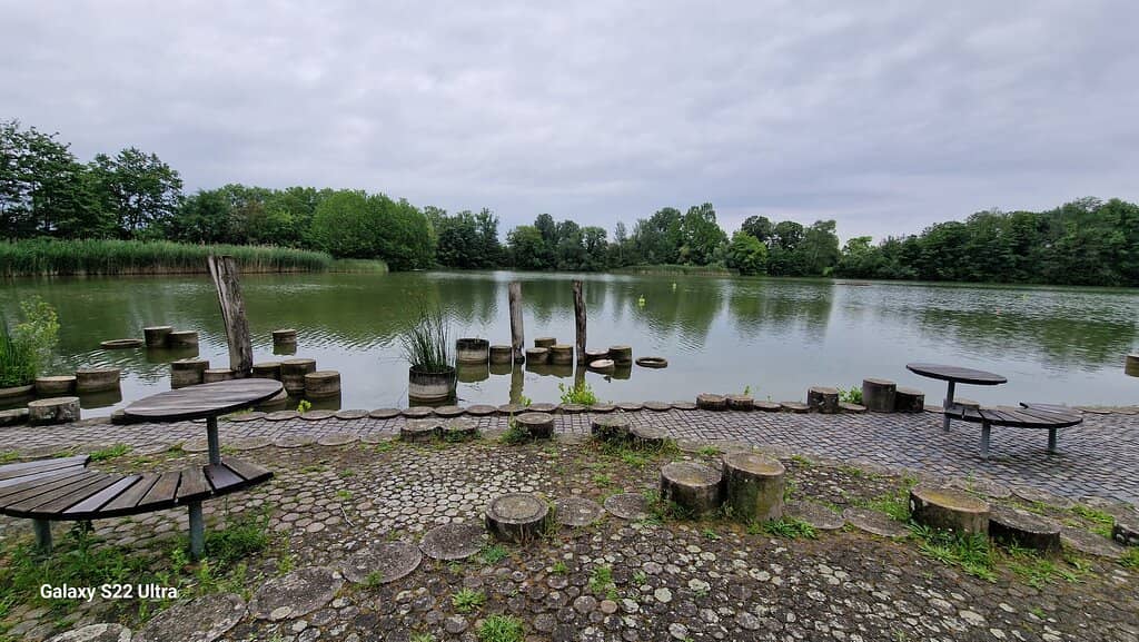 Morning Jogging Trails