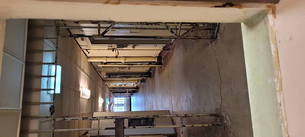 Peaceful Revolution Exhibits