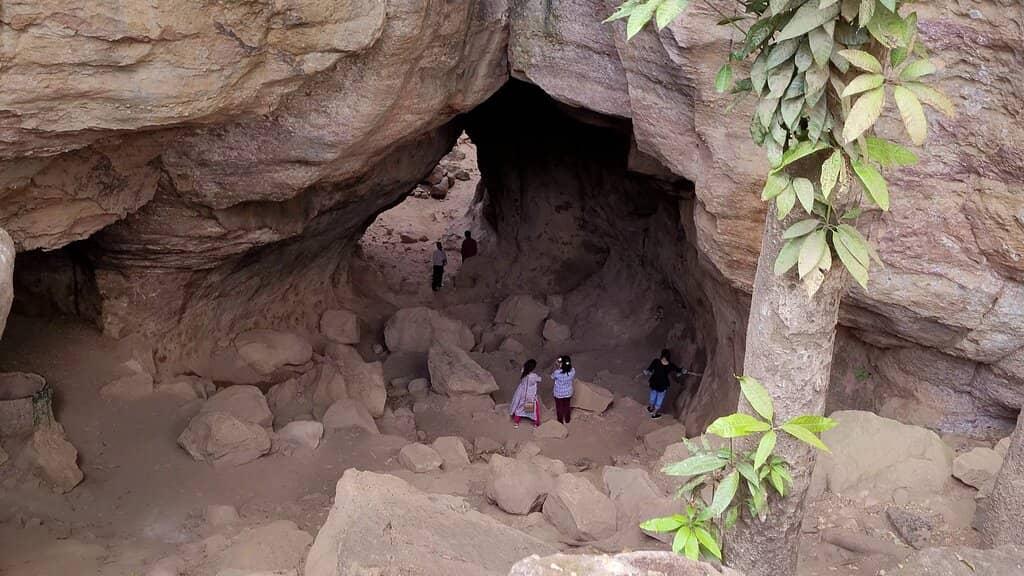 Bear's Ancient Abode
