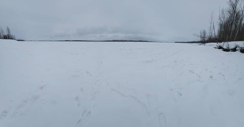 Denali Mountain Range Vista