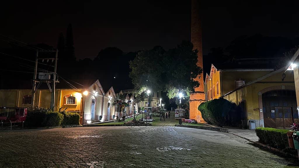 Cultural Events & Exhibitions