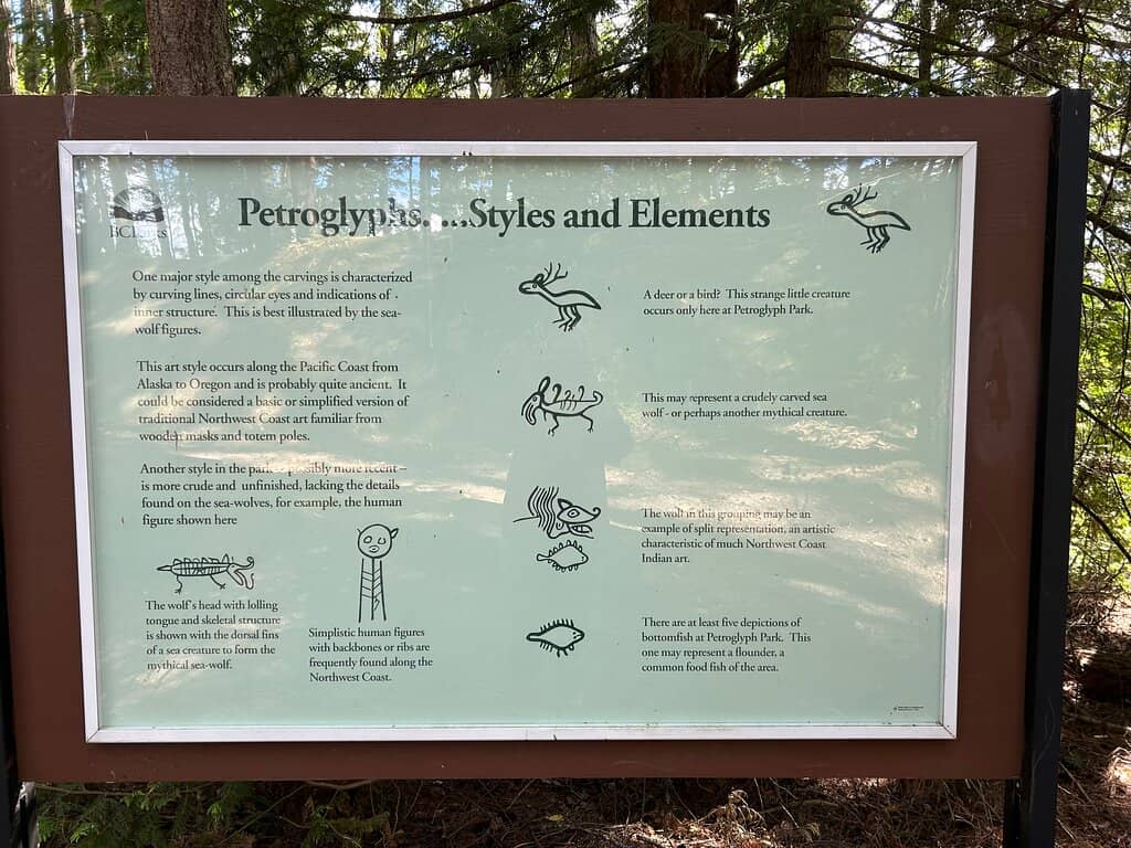Mossy Forest Trails