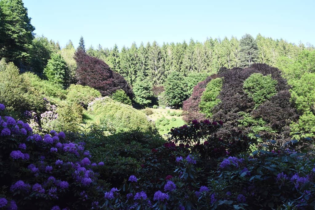 Panoramica Zegna Road