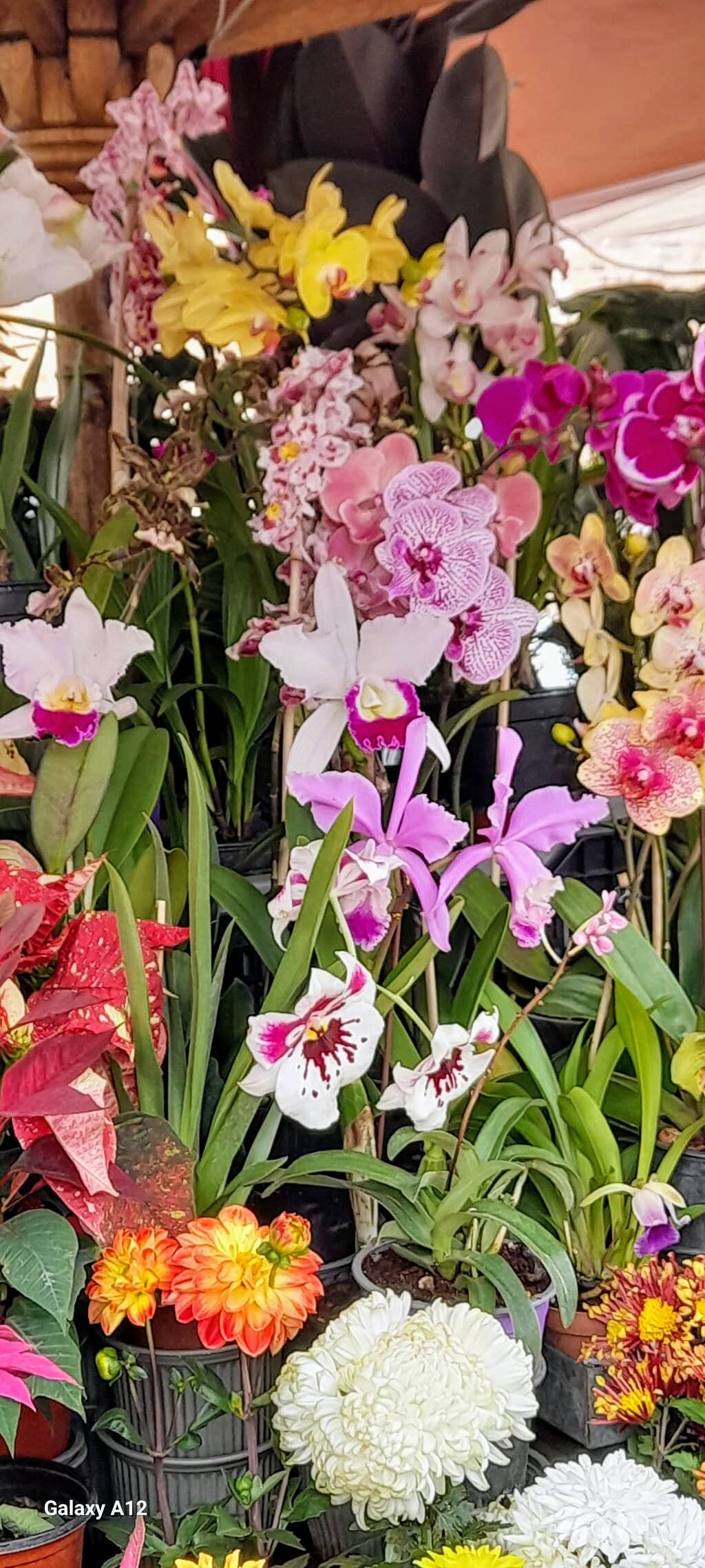 Affordable Bouquets