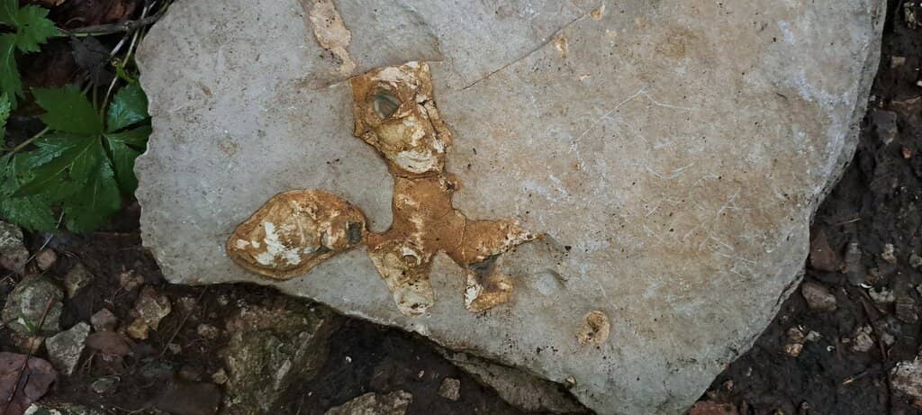 Cascading Waterfalls