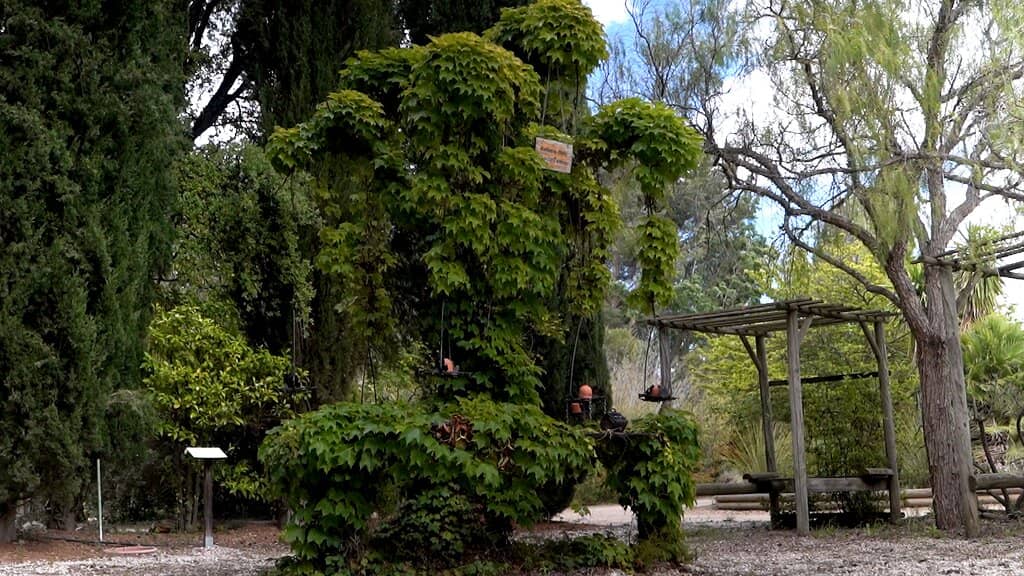 The Great Garden Treasure Hunt