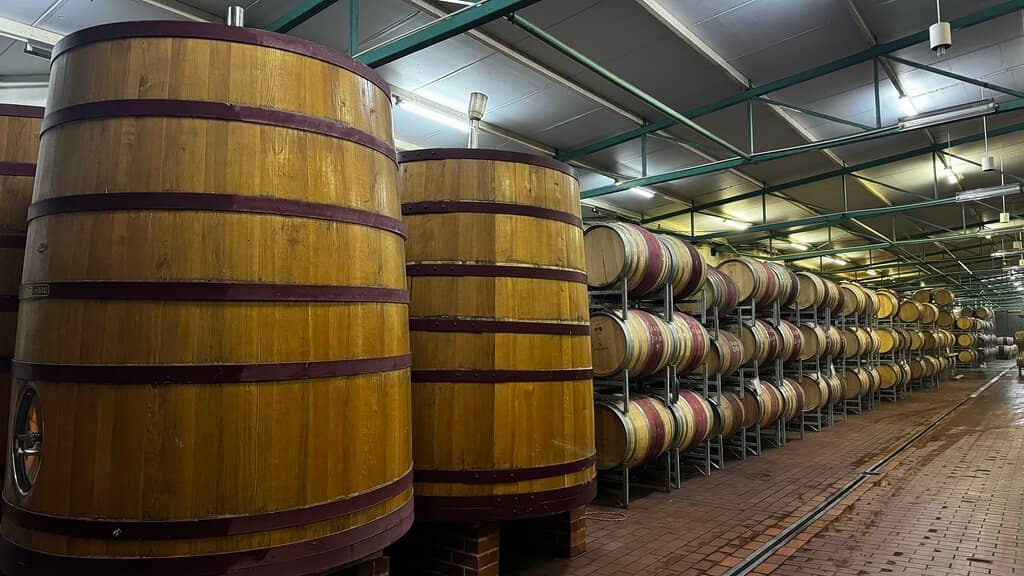 Pinotage Tasting