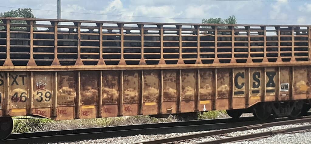 Scenic Rail Bike Ride