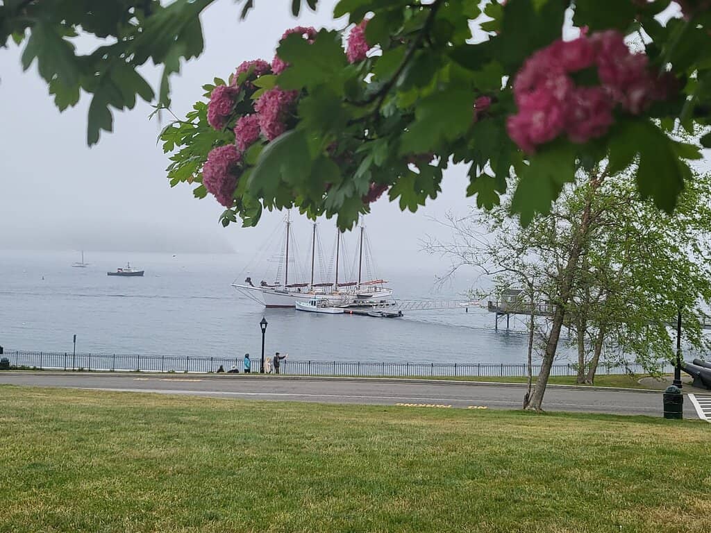 Local Bakeries & Cafes