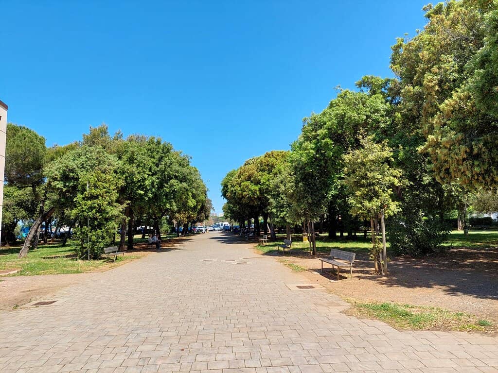 Art Exhibitions & Prizes