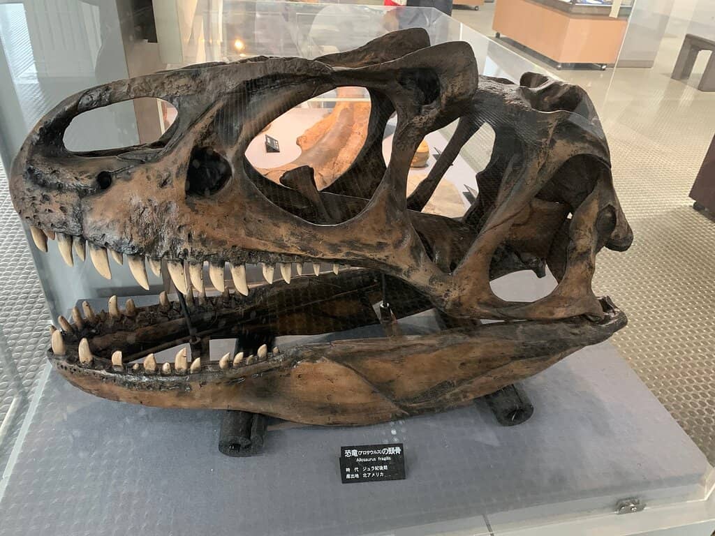 Local Marine Life Exhibits