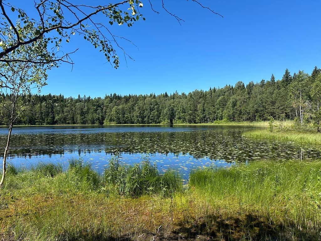 Well-Marked Hiking Trails