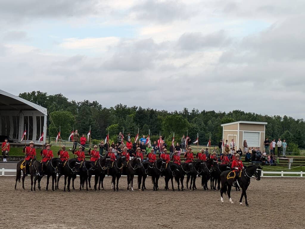 Meet the Horses