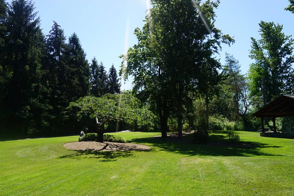 Children's Playground