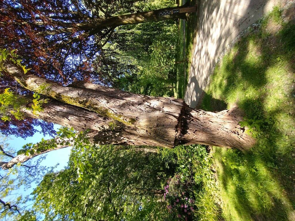 Children's Playground