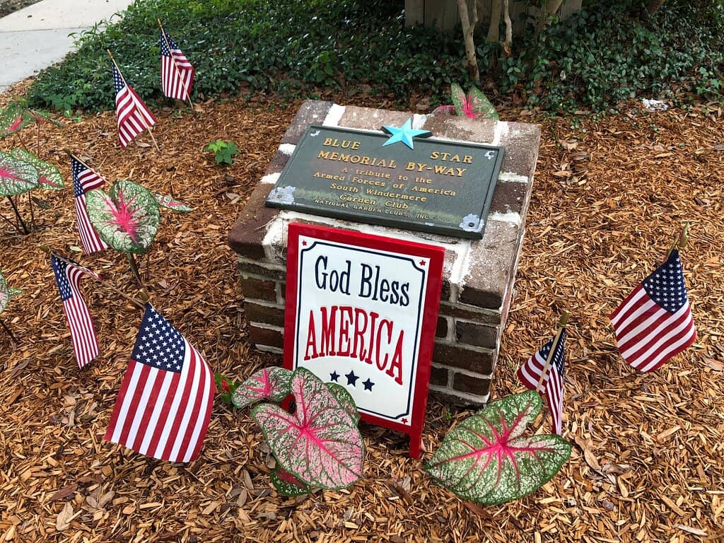 Bird Watching Opportunities