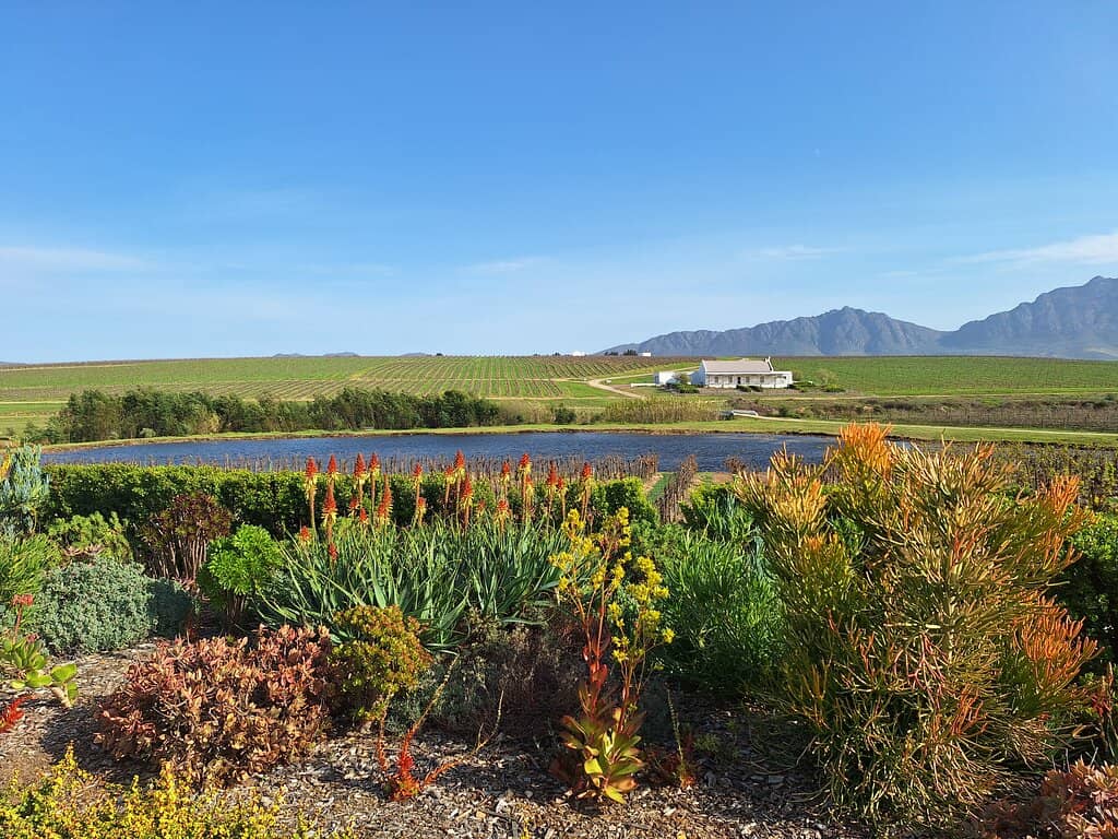 Wine Tasting Experience