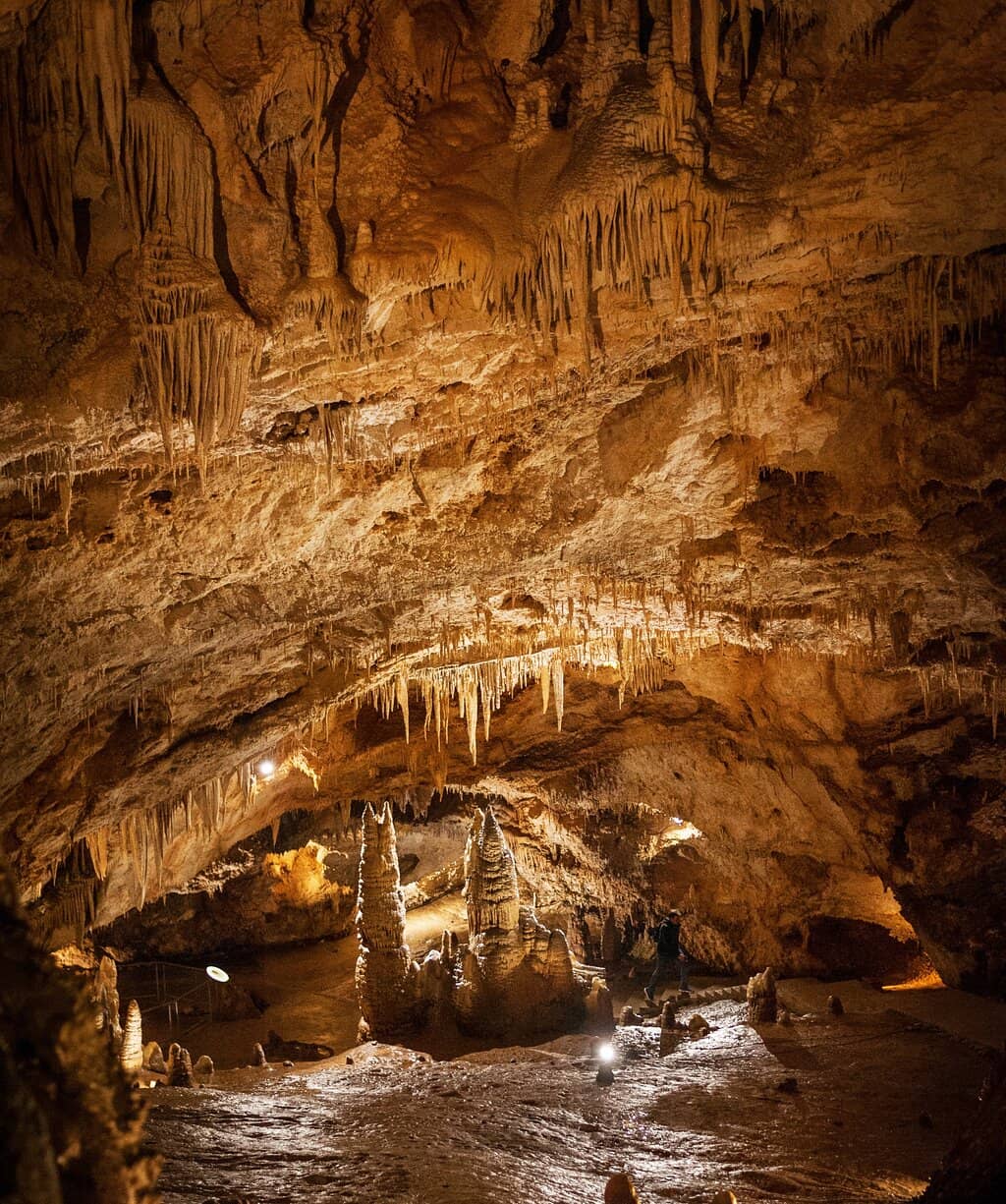 The Cave Train Ride
