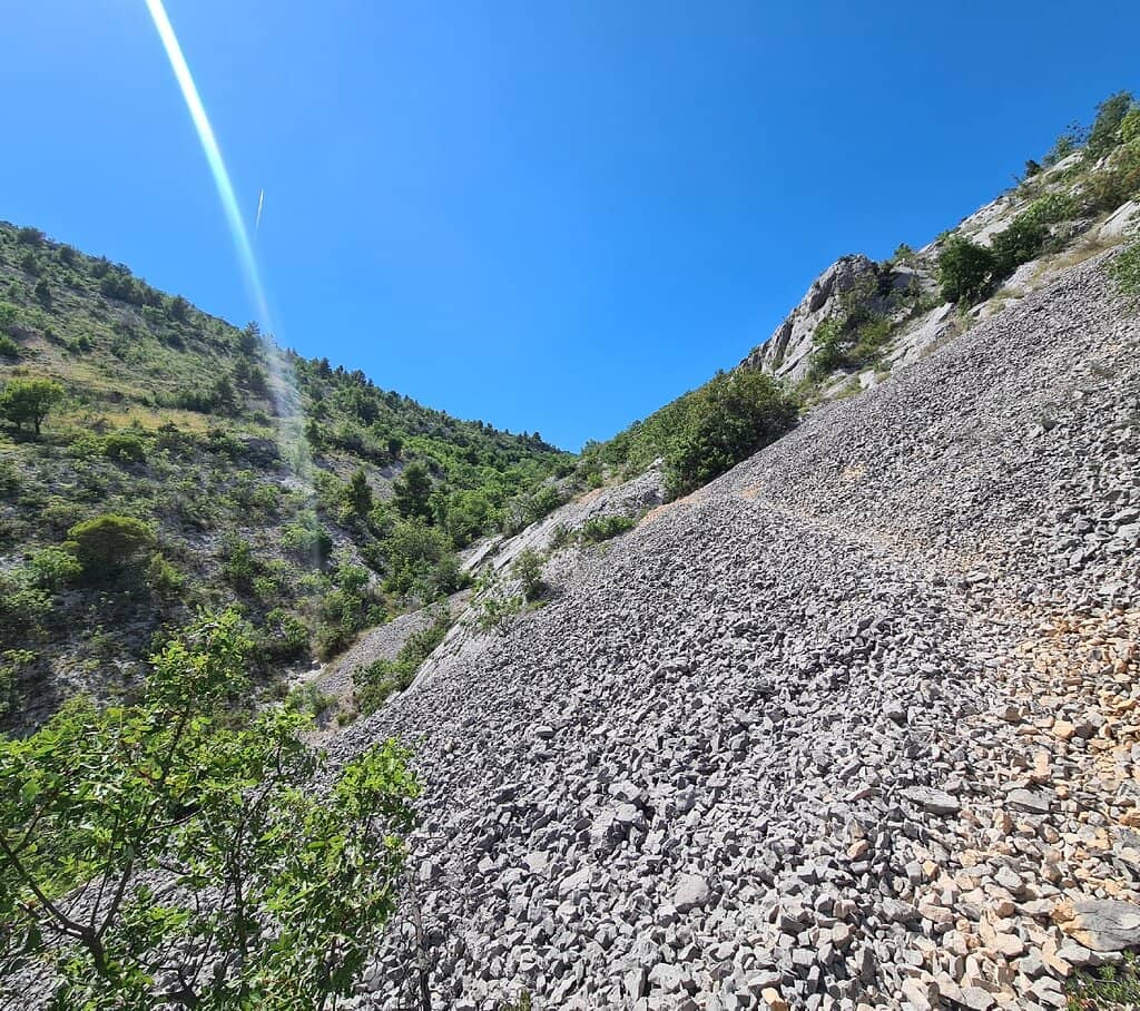 Vertical photo