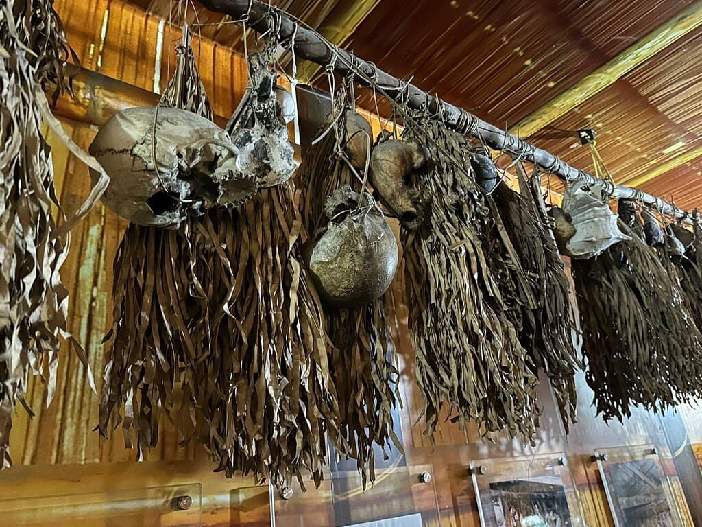 Whale Skeleton