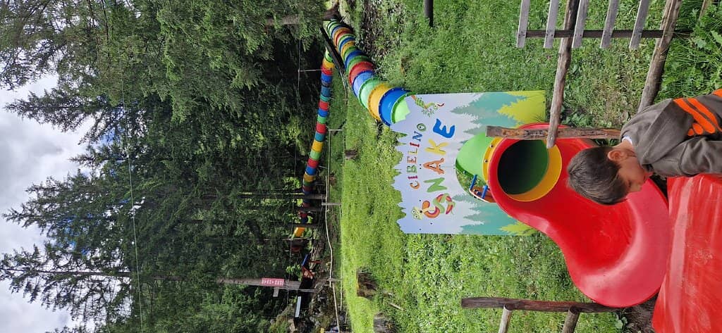 Forest Playground