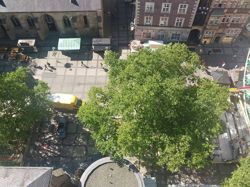 Gothic Choir and Baroque Tower
