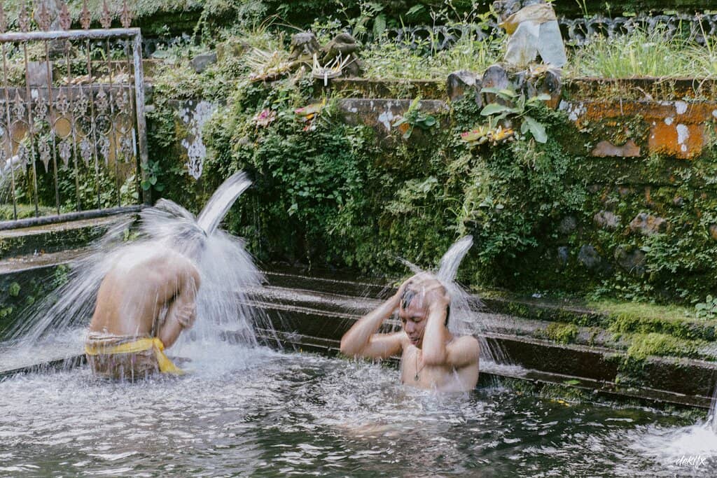 Feeding the Fish