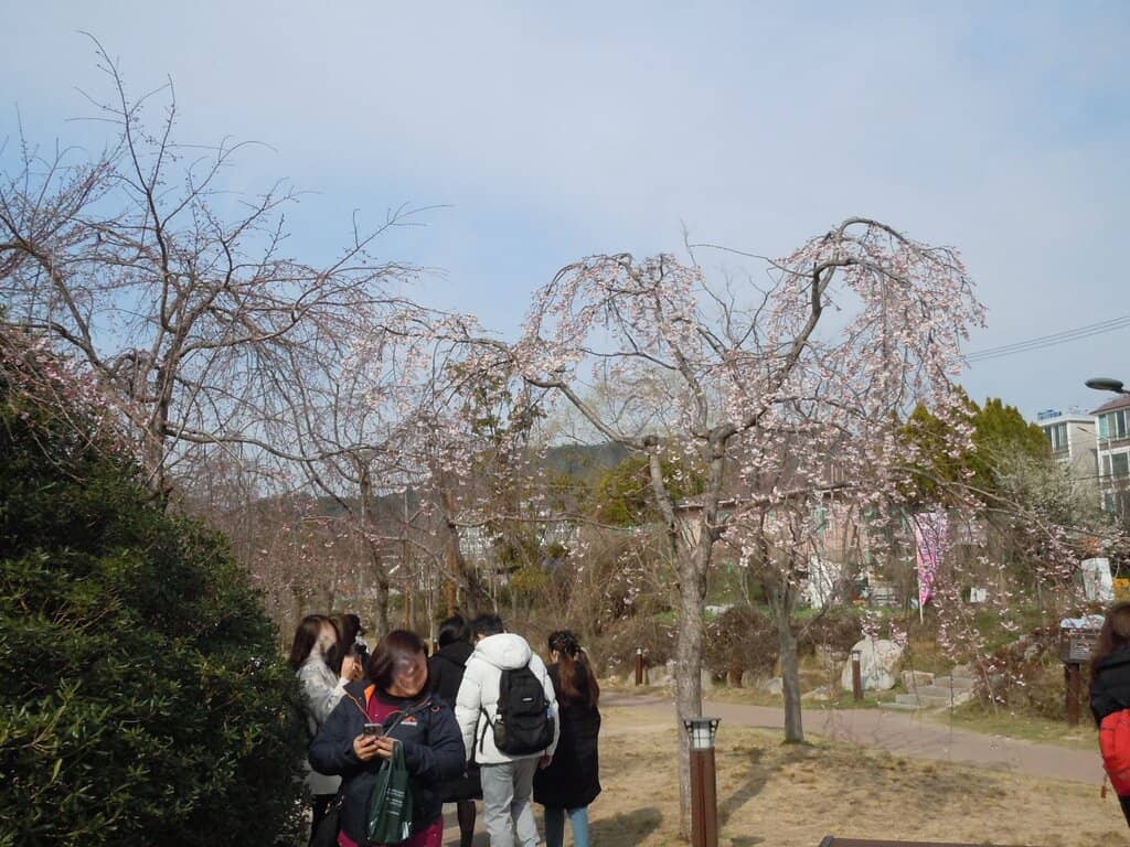 Filming Location Charm
