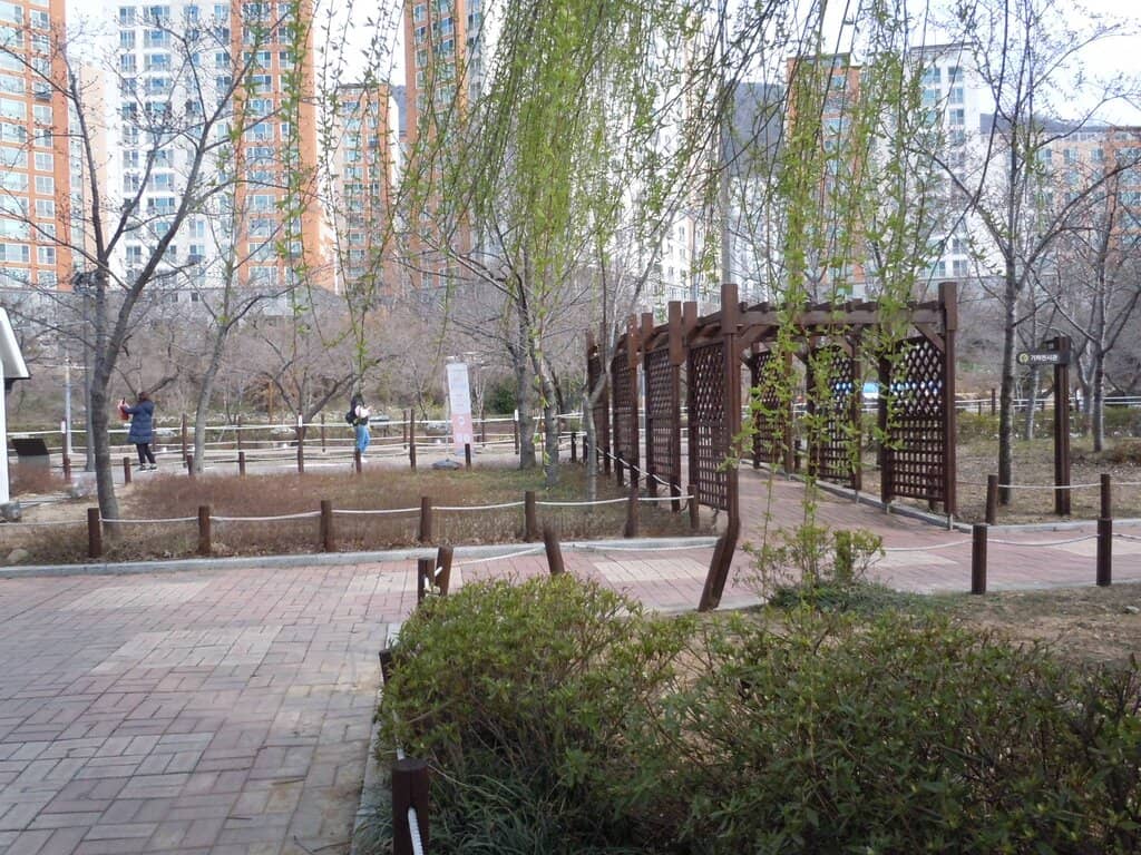 Idling Train Photo Op