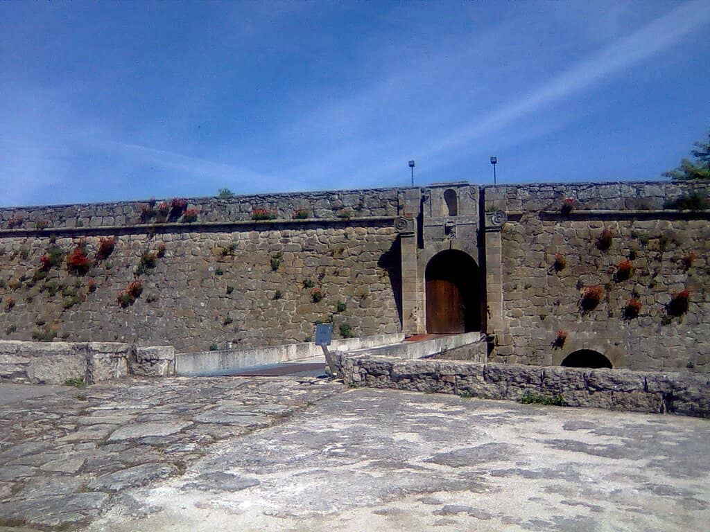 Vertical photo