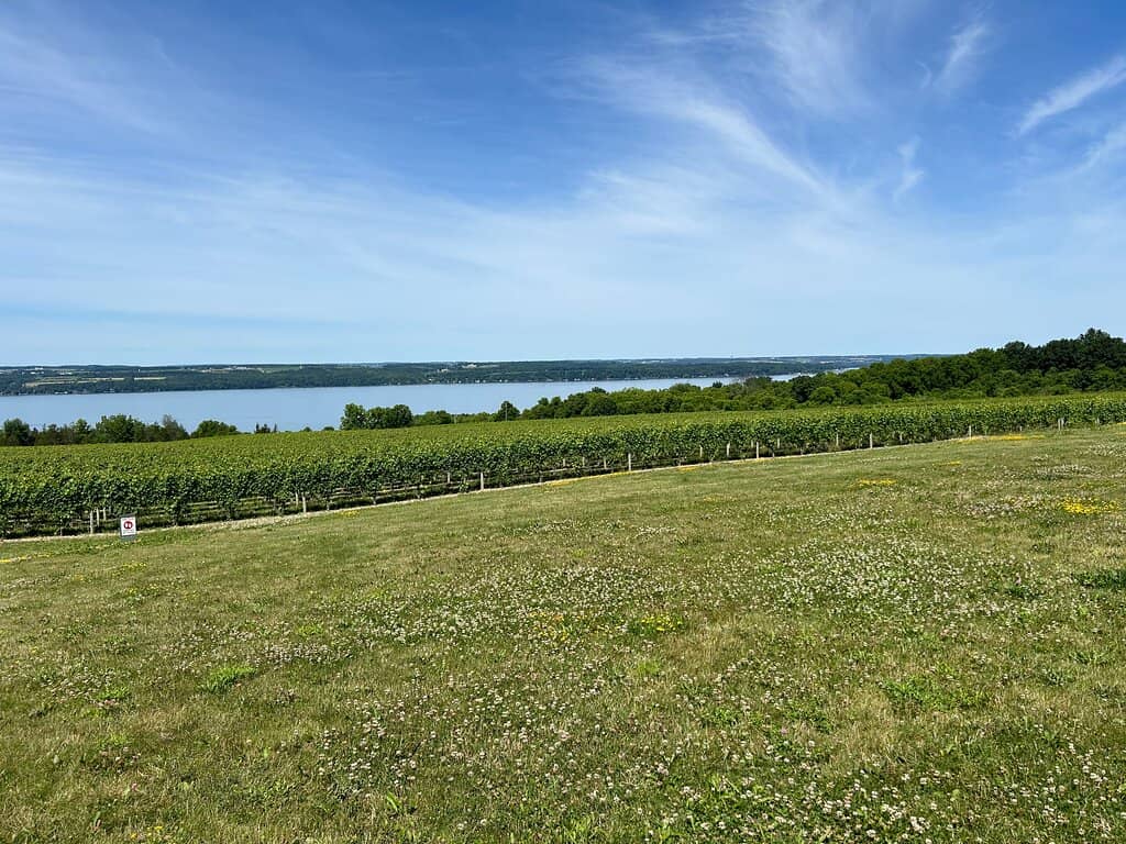Geneva Lakefront Trail