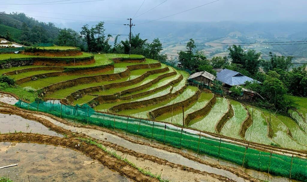 Trekking Through Verdant Hills