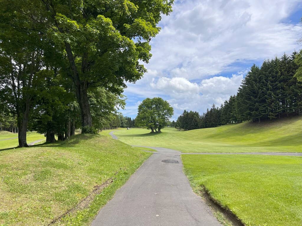 Well-Maintained Greens