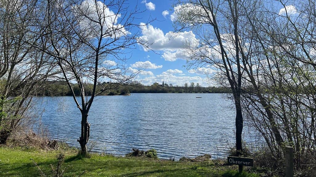 Adventure Playground & Skatepark