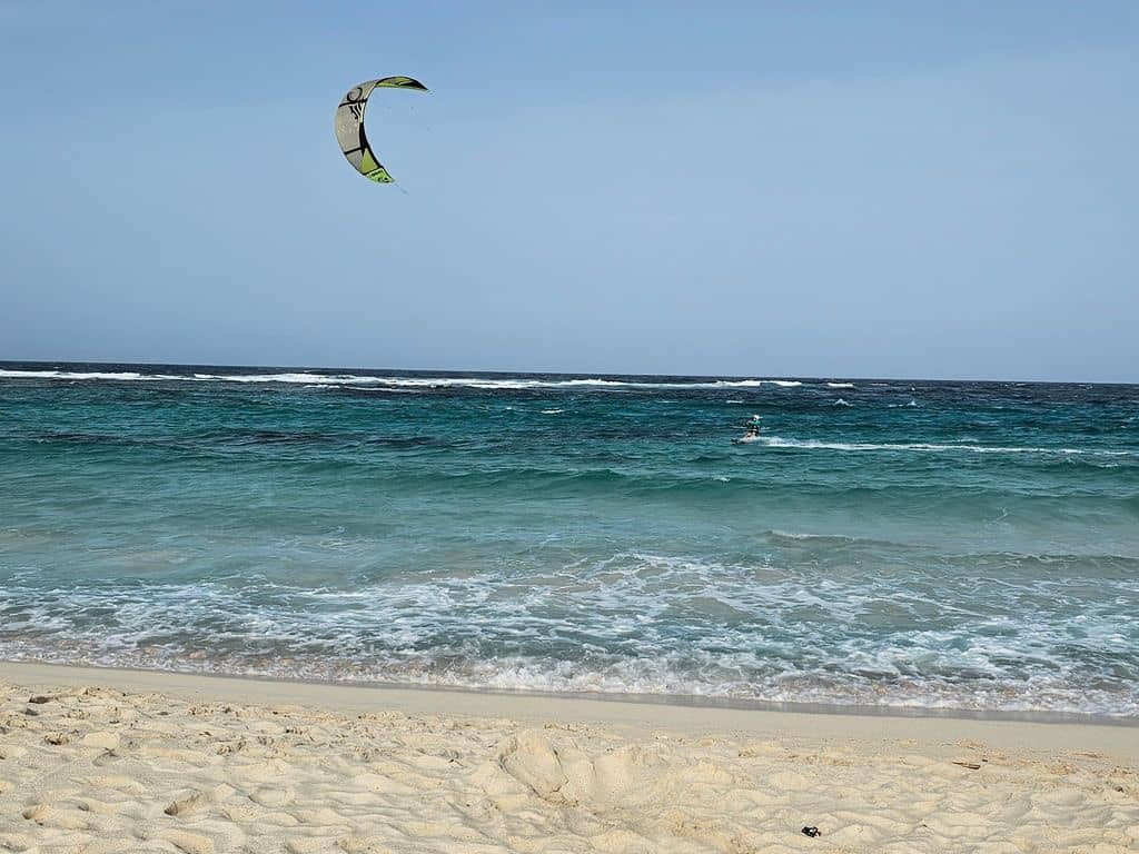 Wild Coastal Scenery