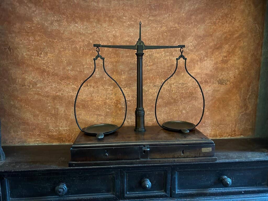 Multimedia Experience