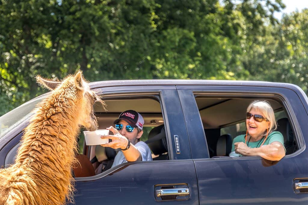 Drive-Thru Safari Trail