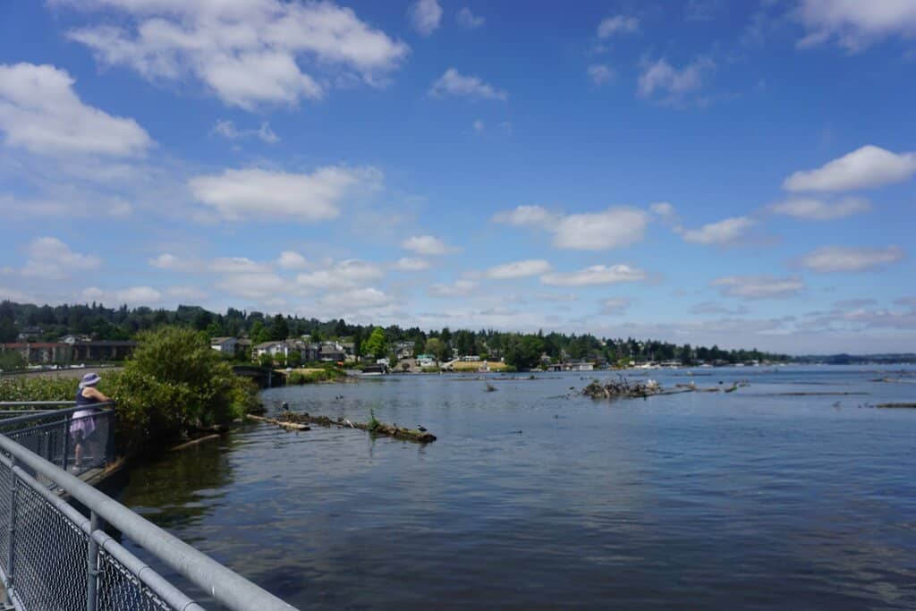Connection to Lake Washington