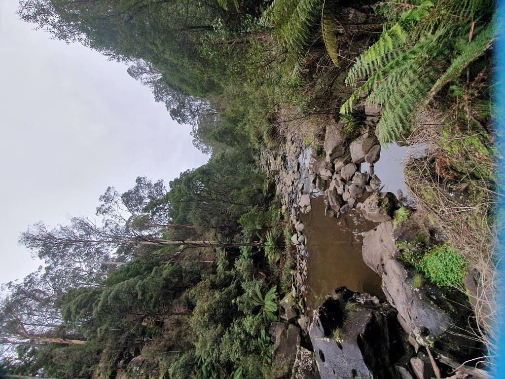 Vertical photo
