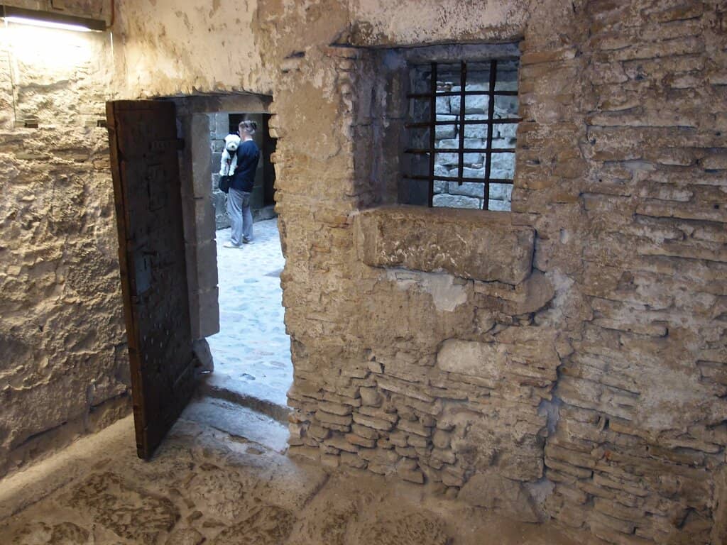Vertical photo