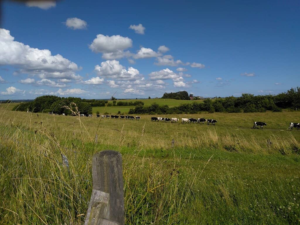 Scenic Views and Dybbøl Mill