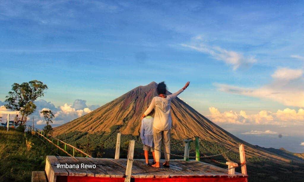 Coffee Plantation Scenery
