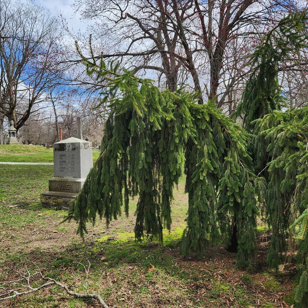 Witch Bonney's Grave