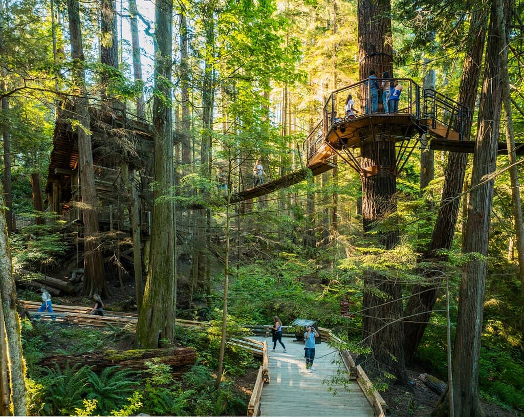 Capilano Suspension Bridge