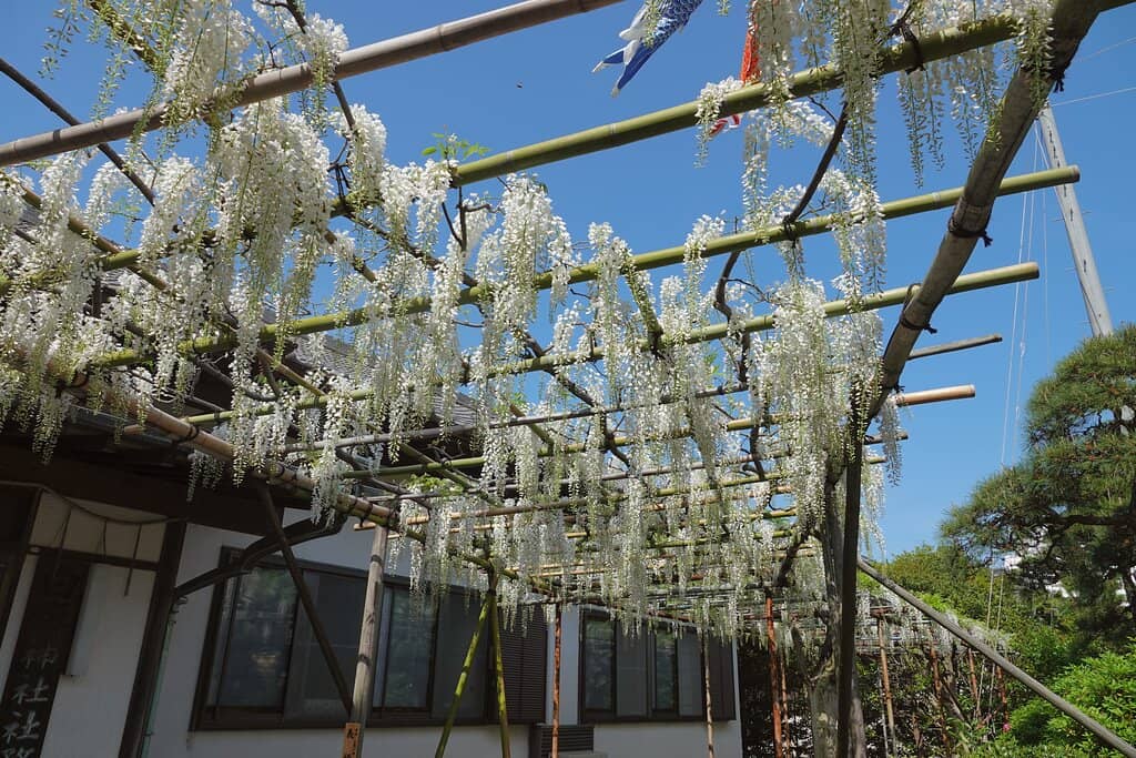 Historical Significance