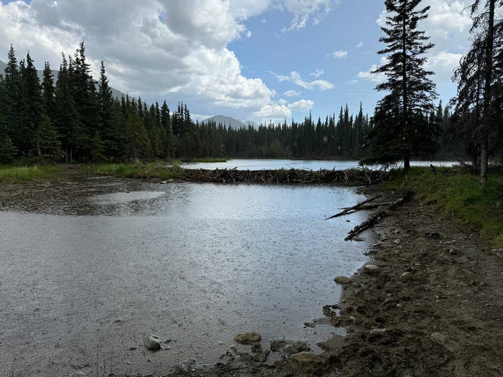 Scenic Loop Trail