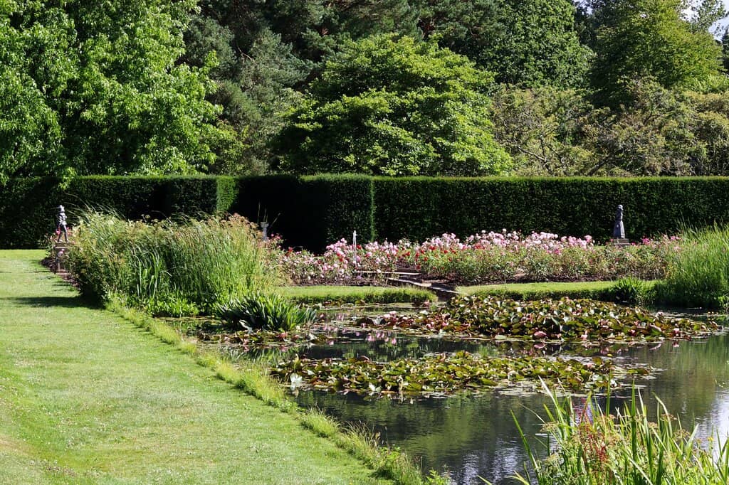 Formal Gardens & Lime Avenue