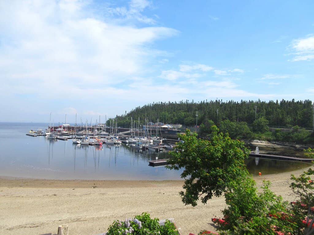 Marine Mammal Interpretation